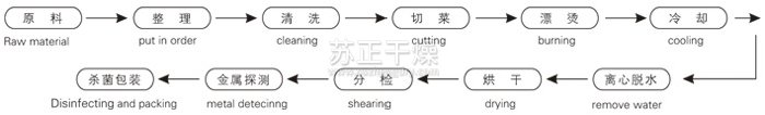 脫水蔬菜帶式干燥工藝流程